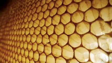 Stream of golden thick honey flowing down on the honeycombs. Natural organic honey, molasses, syrup or nectar fill the cells. Honey is spilled on honeycombs close up. Beekeeping product, healthy food.