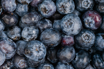 Many heap of fresh juicy blueberries - close up, top view. Organic, summer and healthy food concept