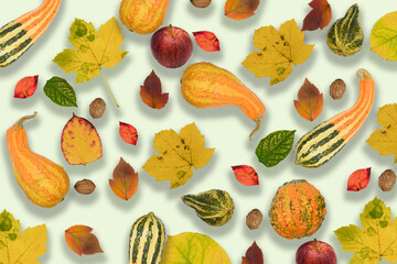 autunno foglie zucche 