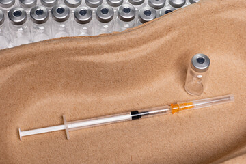 Kidney shell, with vaccination utensils against a background of vaccine ampoules