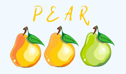 Vector illustration of  pears . Hand-drawn vector pears set. Trendy fruit illustration for web and print design.