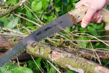 Frau sägt einen Ast mit einer Handsäge im Garten