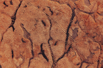 Flooded wetland landscape in sunny autumn afternoon, aerial shot from drone pov