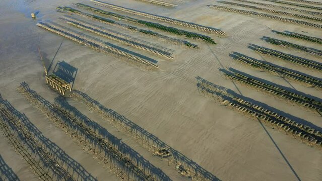 The oyster beds of Utah beach in Europe, France, Normandy, towards Carentan, in spring, on a sunny day.