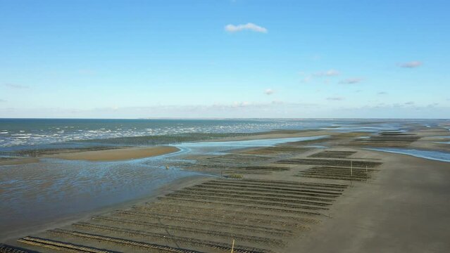 The long beach of Utah beach and its oyster beds in Europe, France, Normandy, towards Carentan, in spring, on a sunny day.
