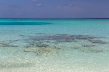 Obraz premium Crystal clear blue sea in Maldives