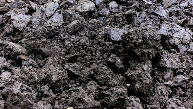 Chernozem type soil background. Background photo texture. Digging the ground as a stage of preparation for sowing agriculture. Land for planting