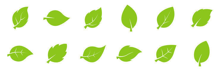 Fototapeta na wymiar Leaves collection. Green leaves flat icon set. Vector illustration.