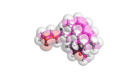 Lovastatin 3D molecule