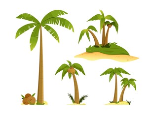 Set with palm trees. Vector illustration with isolated design elements on white background