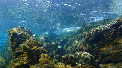 Naklejka premium Underwater photography of a reef and landscape that looks like a fairy tale and scenery in rays of light