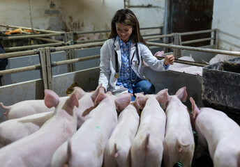 Woman veterinarian in front of piglets in stable