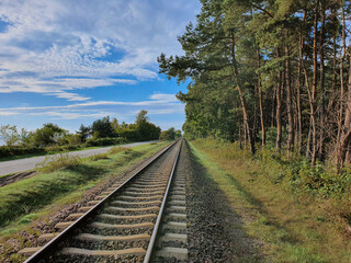 Fototapeta premium railway in the forest