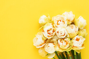 Narcissus flowers on yellow background. Mothers Day, Valentines Day, birthday celebration concept
