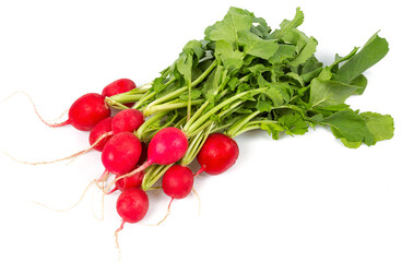 fresh radish isolated on white background