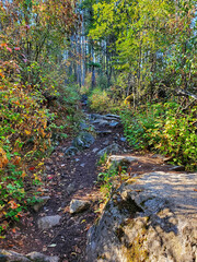 rocky uphill trail in autumn
