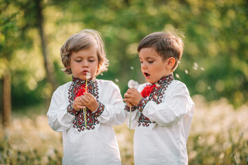 Cute little ukrainian boys blowing dandelion in spring garden. Children in traditional embroidery...