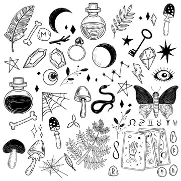 Magical illustrations. Witch magic design elements set. Occult elements in graphic style. Hand drawn magic icons: skull, bones, feathers, crystals, mushrooms, cards. 