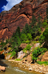 A sunny morning on the lower reaches of the Narrows of the Virgin River, Zion National Park, Utah, Southwest USA