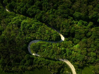 Aerial view of curvy road passing through the green forest, top view