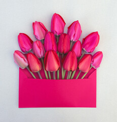 delicate bouquet of bright pink and red tulips in an envelope