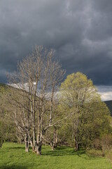 Obraz premium Ciemne chmury nad Bieszczadami, Polska, maj 2020 rok