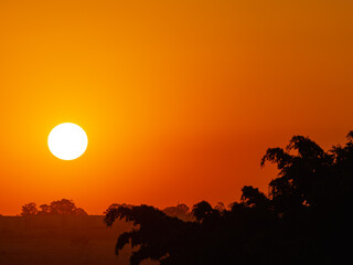Fototapeta premium Por do sol