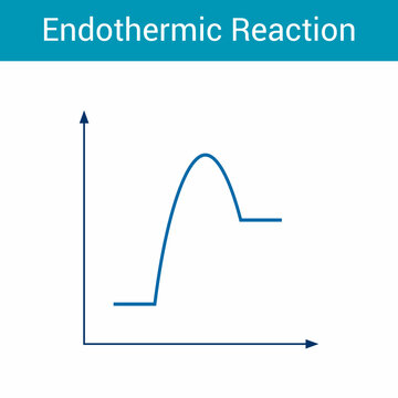 Endothermic reactions graphs diagram in chemistry vector illustration on white background