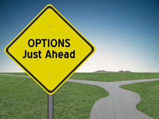 Options Just Ahead on Yellow Highway Sign