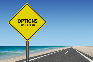 Options Just Ahead on Yellow Highway Sign