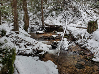 Winter creek in the forest