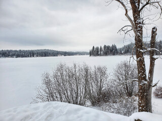 winter frozen lake landscape with trees