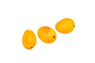 Mangifera indica - Organic sweet tropical mango