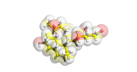 Pravastatin 3D molecule