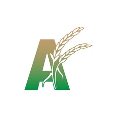 Letter A with rice plant icon illustration template