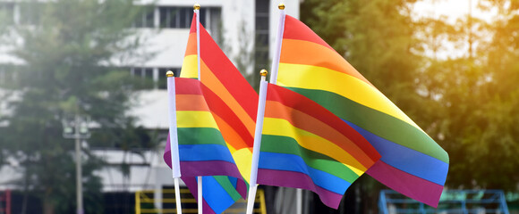 Rainbow flags, symbol of lgbt gender diversity, showing in front of grass court of school...