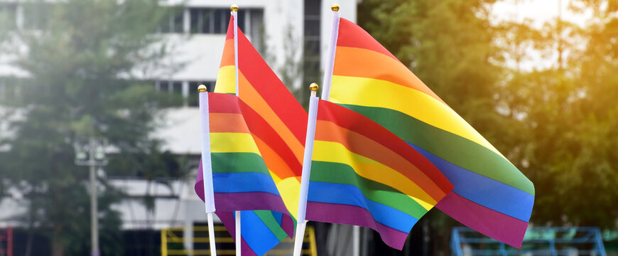 Rainbow flags, symbol of lgbt gender diversity, showing in front of grass court of school playground, blurred building background, concept for lgbt celebrations in pride month, june, over the world.
