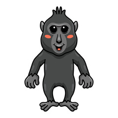 Cute little crested black macaque cartoon