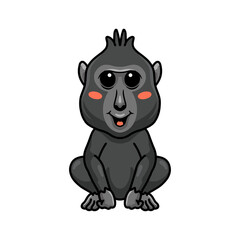 Naklejka premium Cute little crested black macaque cartoon