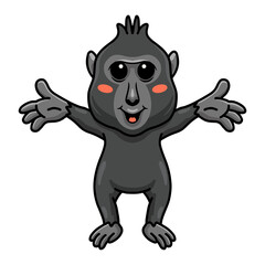 Cute little crested black macaque cartoon raising hands