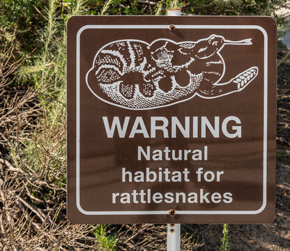 Simi Valley, California, USA - April 27, 2022: Closeup of warning sign about presence of rattlesnakes in their natural habitat. White image and letters on dark brown square plate. Green foliage in bac