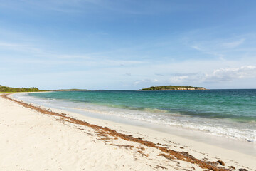beach with water