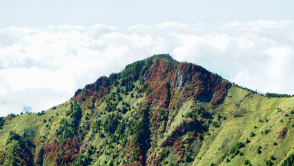 望遠レンズで撮られた秋の山