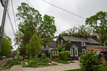 House with fallen tree on it due to a tornado.