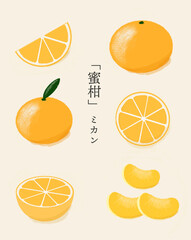 みかんの色鉛筆画