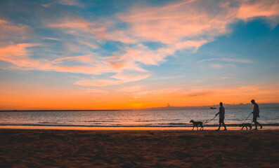 Silhouette of people walking their dogs on the beach during sunset. Blue sky and picturesque clouds.