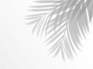 Fototapeta na wymiar Palm leaves shadow background overlay. Realistic vector leaves, light effect for summer travel, beach or cosmetics beauty product promotion with tropical plant foliage on white wall