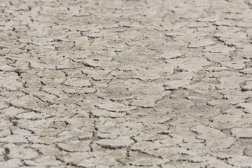 Close-up of cracked earth on arid area without plants, nobody