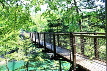 栃木県那須塩原市の回顧の吊橋