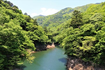 Fototapeta na wymiar 栃木県の塩原渓谷（初夏の風景）